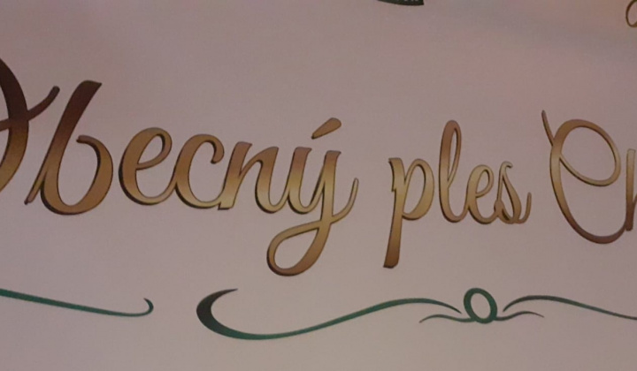 28. ročník obecného plesu